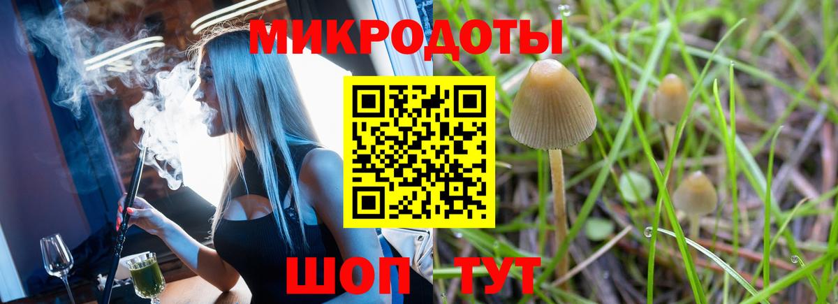 Галлюциногенные грибы Magic Shrooms Волгодонск